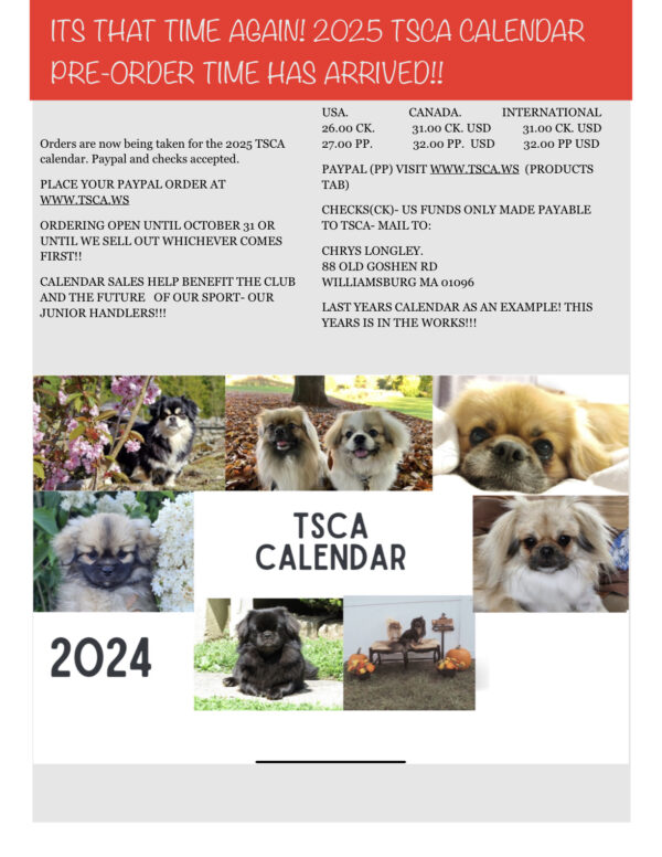 Pre-order 2025 calendar