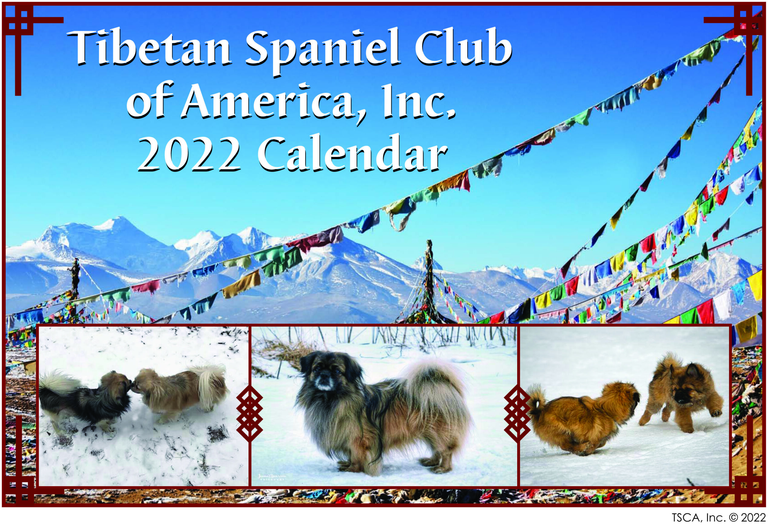 Tibetan Spaniel 2021 A5 Week Per View Diary DOG SHOW DATES/APPOINTMENT 